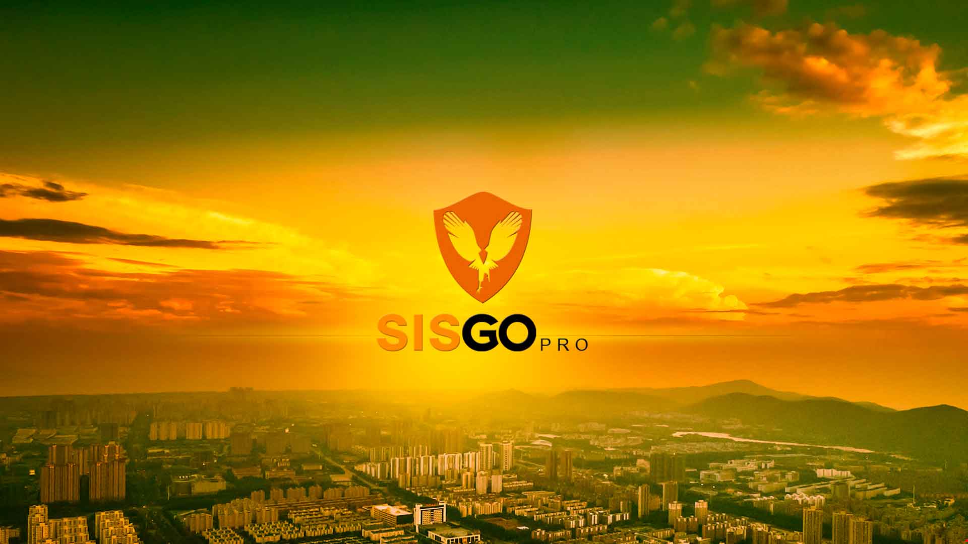 branding-sisgo2